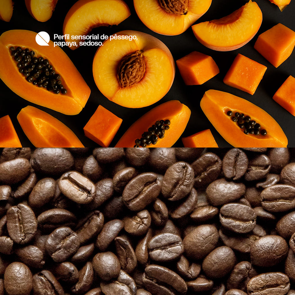 Café especial Quilili - Frutas amarelas