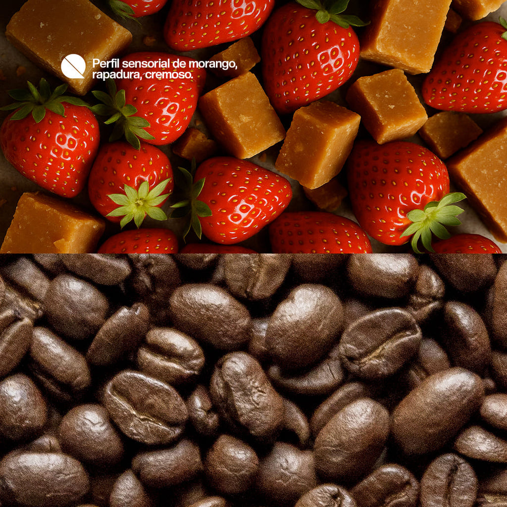 Café especial Quilili - Frutas Vermelhas