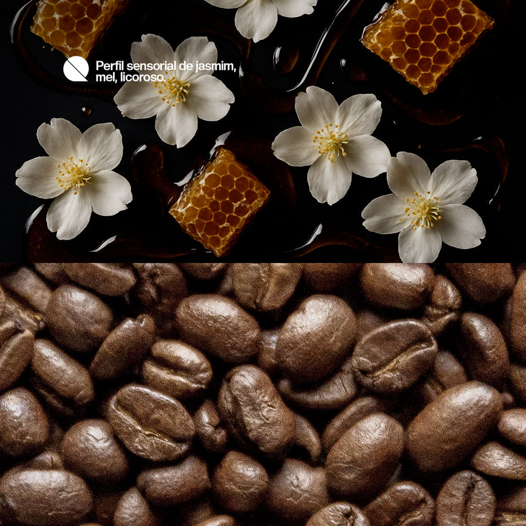Café especial Quilili - Floral